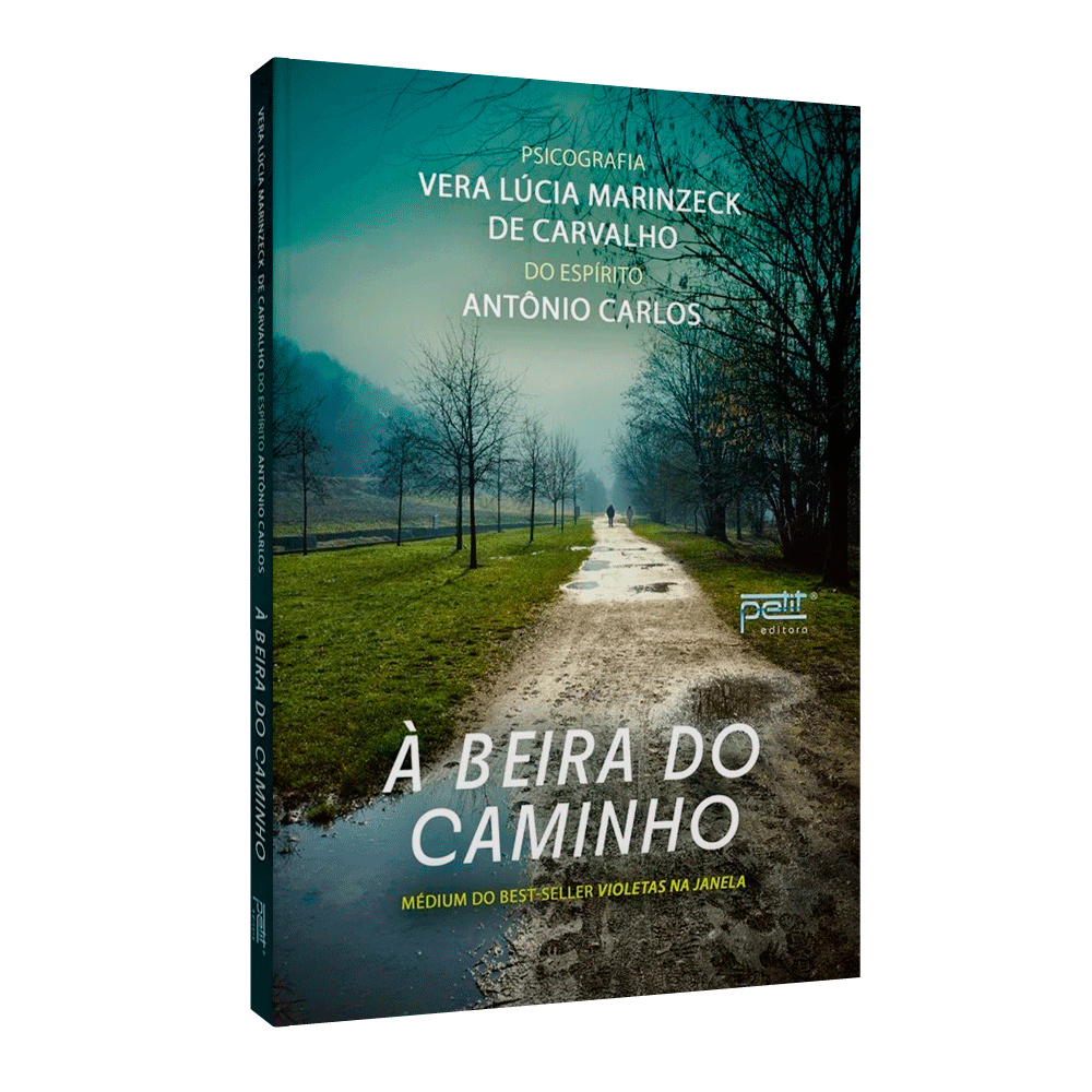 à Beira Do Caminho