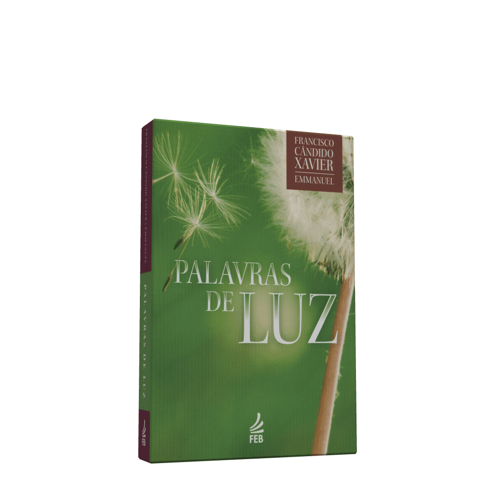 Palavras De Luz [feb]